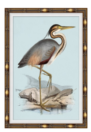 Heron Blues 1 Art