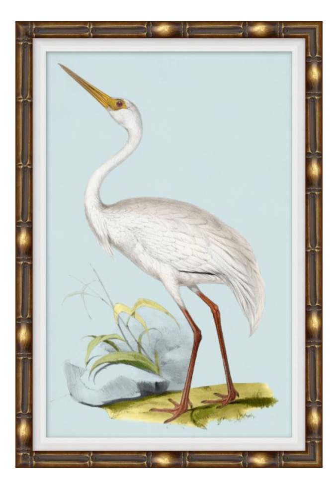 Heron Blues 4 Art