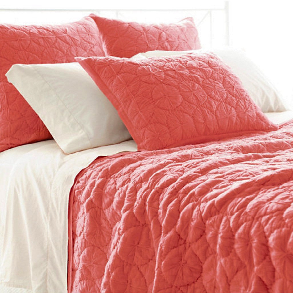 Marina Shams - Revibe Designs