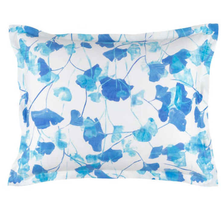 Gingko Shams