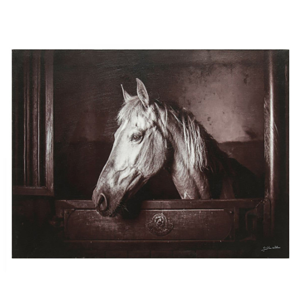 Thoroughbred Palomino Wall Art - Revibe Designs